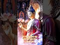 nghiệp đâu trả vay