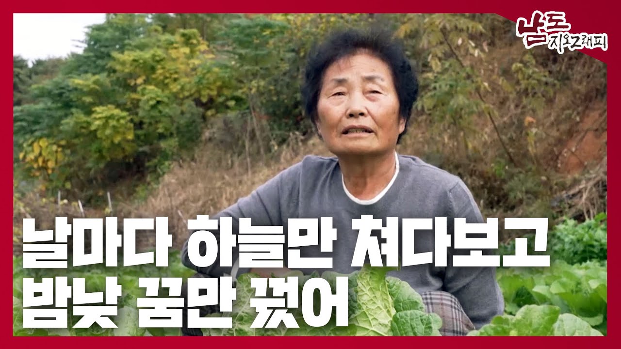 날마다 하늘만 쳐다보고 밤낮 꿈만 꿨어 [남도지오그래피｜241126]