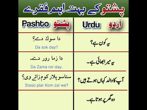 Basic Pashto Short Sentences روزمرہ استعمال ہونے والے انتہائی اہم پشتو فقرے 