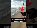 神の証明