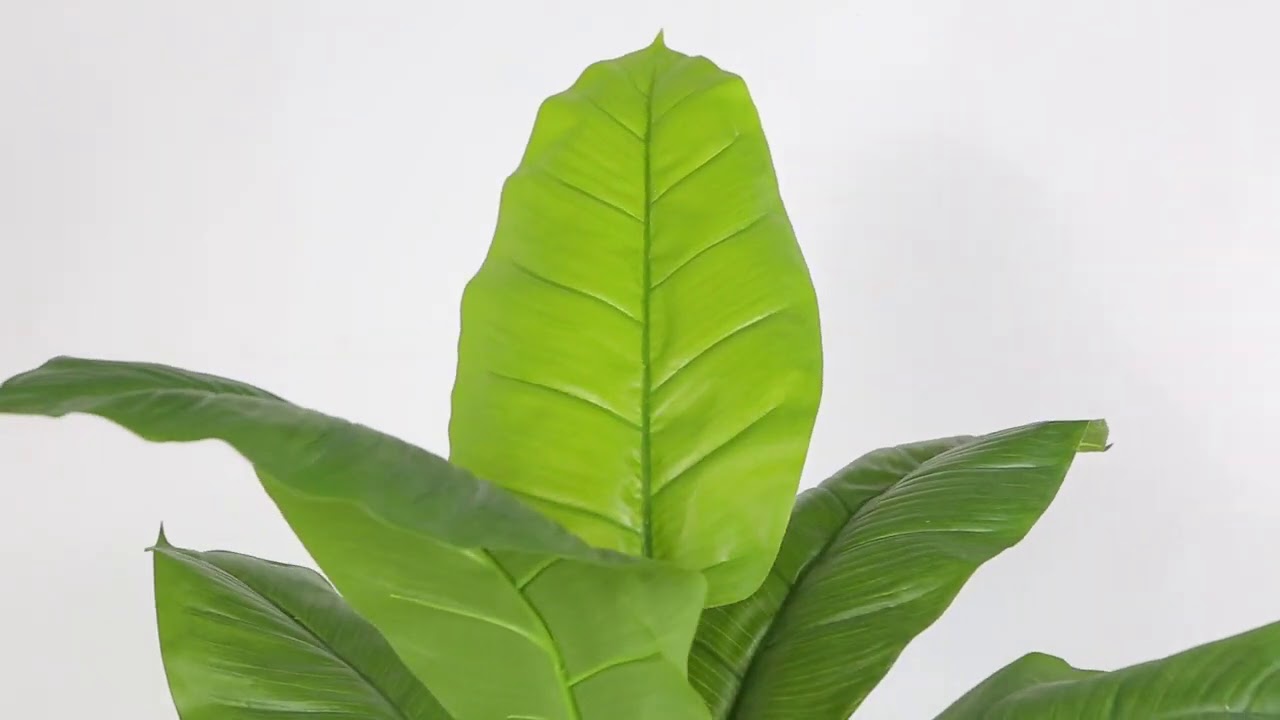 MOKA ARTIFICIAL SPATHIPHYLLUM LEAF POTTED PLANT 3FT YouTube