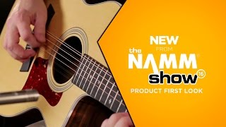 NAMM 2016 - Taylor 254ce Deluxe Grand Auditorium 12 String Acoustic Guitar