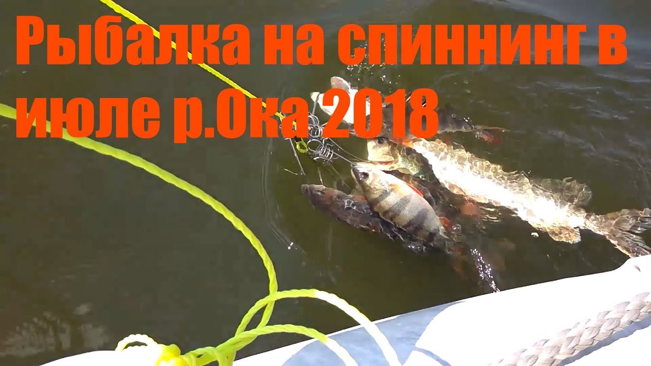 Тк ока коломна
