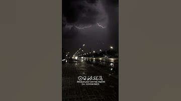 إذا زلزلت الارض زلزالها {} وأخرجت الارض اثقالها {} تلاوه جميله للقارئ شريف مصطفى