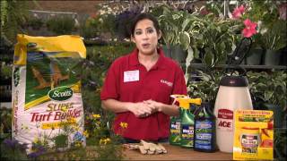 How do I control weeds in my yard?