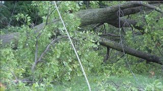 Storms cause power outages and debris throughout Lincoln