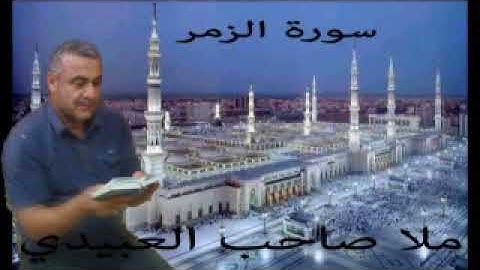 سورة الزمر =هديتى الى ارواح امواتكم اخوانى واخواتى الاطهار=ملا صاحب العبيدى