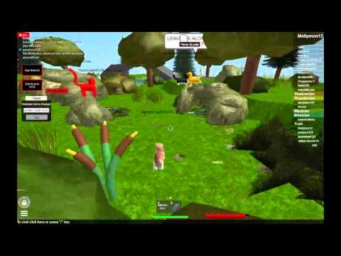 Roblox Warrior Cats New Lake Territory First Clan Meeting Youtube - roblox warrior cats lake territory