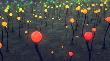 Blender Cycles Test Render