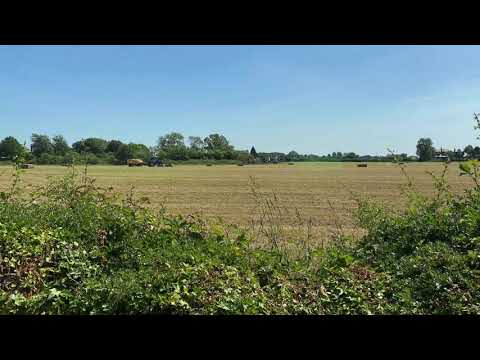 Grey Partridge evening call / sounds … like an old camera!