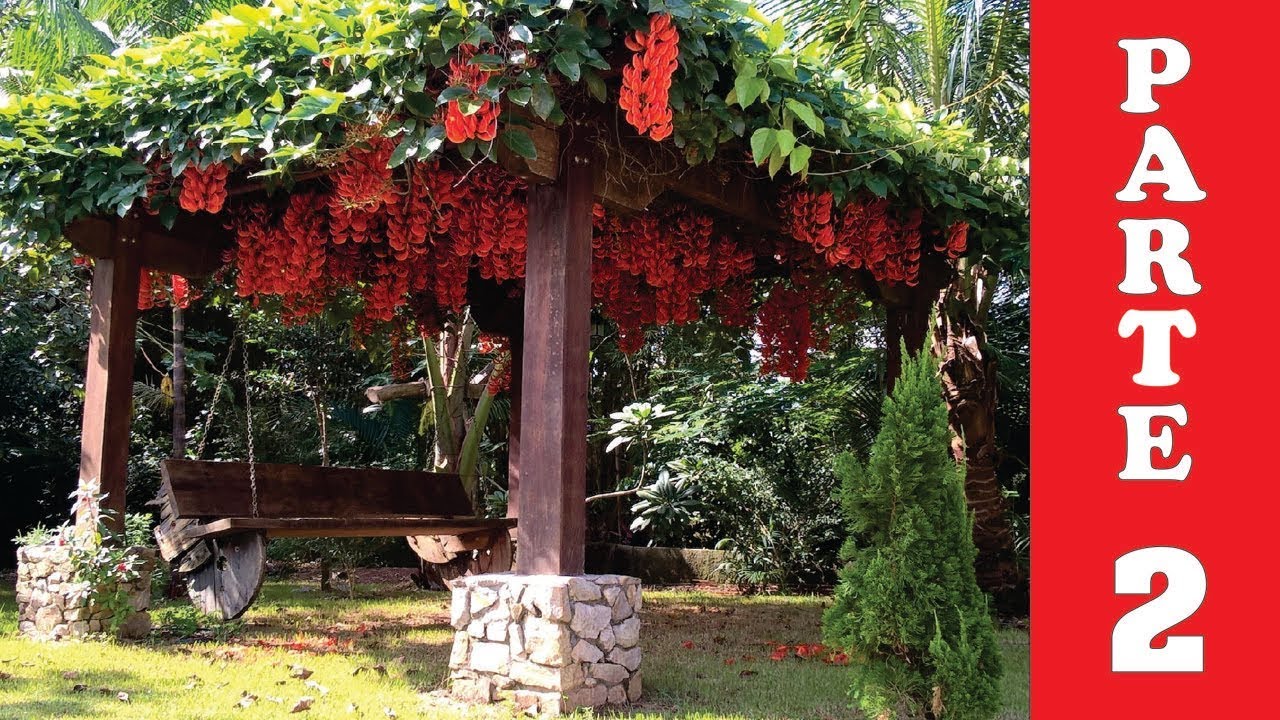 Jade, Como fazer mudas em Pergolados, Enredadera, Trepadora, Bindweed, Vine Parte 2