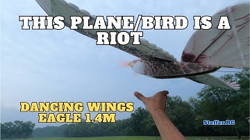 DW Hobby E19 Eagle RC Plane 1.4m Maiden