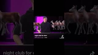 A night club for deer 💔 #memes #funny #deer #tiktok #viral #silly #newmemes