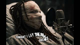 Lil Wayne - Men Hide Pain (lyrics video)