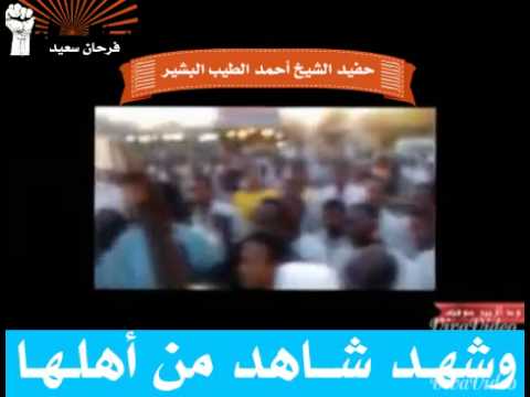 توبة حفيد شيخ الطريقة السمانية