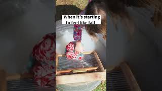 Famous Less than 1 week until the annual Harvest Festival at Agricultural History Farm Park! Net Worth