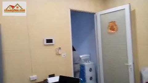 XAVIA | CỎ TREO TƯỜNG TAI CHUỘT - THẨM MỸ VIỆN ĐẸP HƠN KHI KẾT HỢP XỐP DÁN TƯỜNG VÀ CỎ NHÂN TẠO