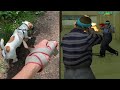 выгулял собаку и пошел на капт