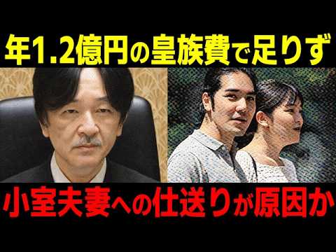 【年1億超の皇族費】秋篠宮家の家計が苦しい本当の理由...小室眞子さんとエプスタイン文書