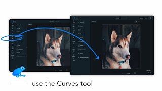 How to use the Curves tool - Ribbet web version