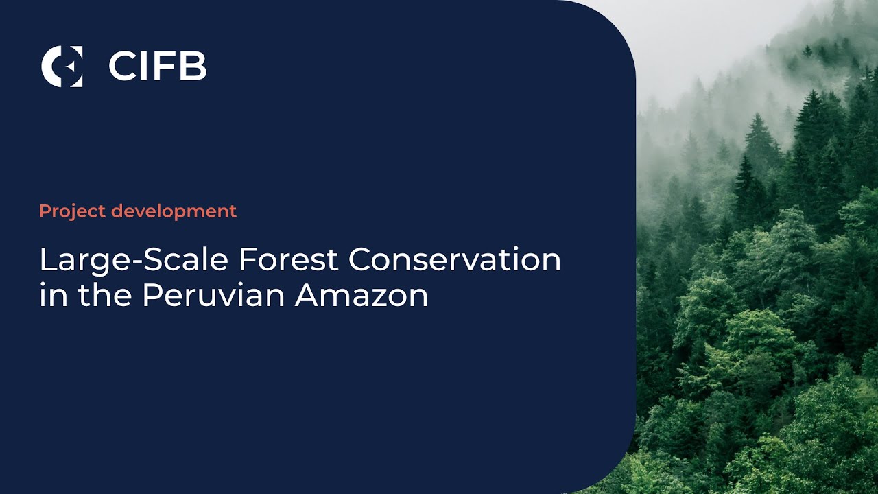 Large Scale Forest Conservation in the Peruvian Amazon - YouTube