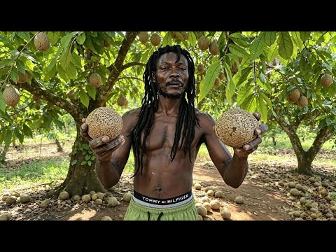 EXOTIC FRUIT FOUND  DEEP IN THE HILLS IT WAS JOURNEY TO GET IT MAMEY SAPOTE PUNCH 🇯🇲 