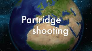 Partridge Shooting Shotkam
