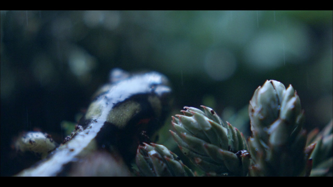 La Fábrica de Solán de Cabras