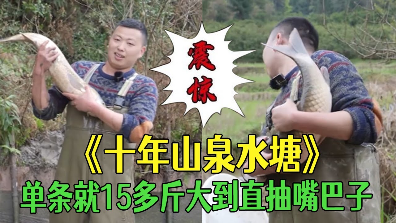 十年山泉水魚塘，單條就15多斤大到直抽嘴巴子，太猛了 #戶外 #抓魚 #農村生活 #我要上熱門#小飛哥 #大熱門