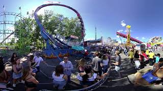 stampede insidering 00371