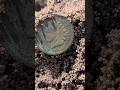 1890s Indain head cent found while metal detecting michigan. #metaldetecting #detectorists #coin