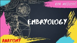 Development of CVS | Part 3 | Venous system | Sinhala