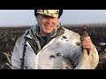 "Первые выстрелы по Гусю" Охота на гуся в Саратовской области