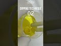 Coloring on Zirconia (Dipping technique) #shorts