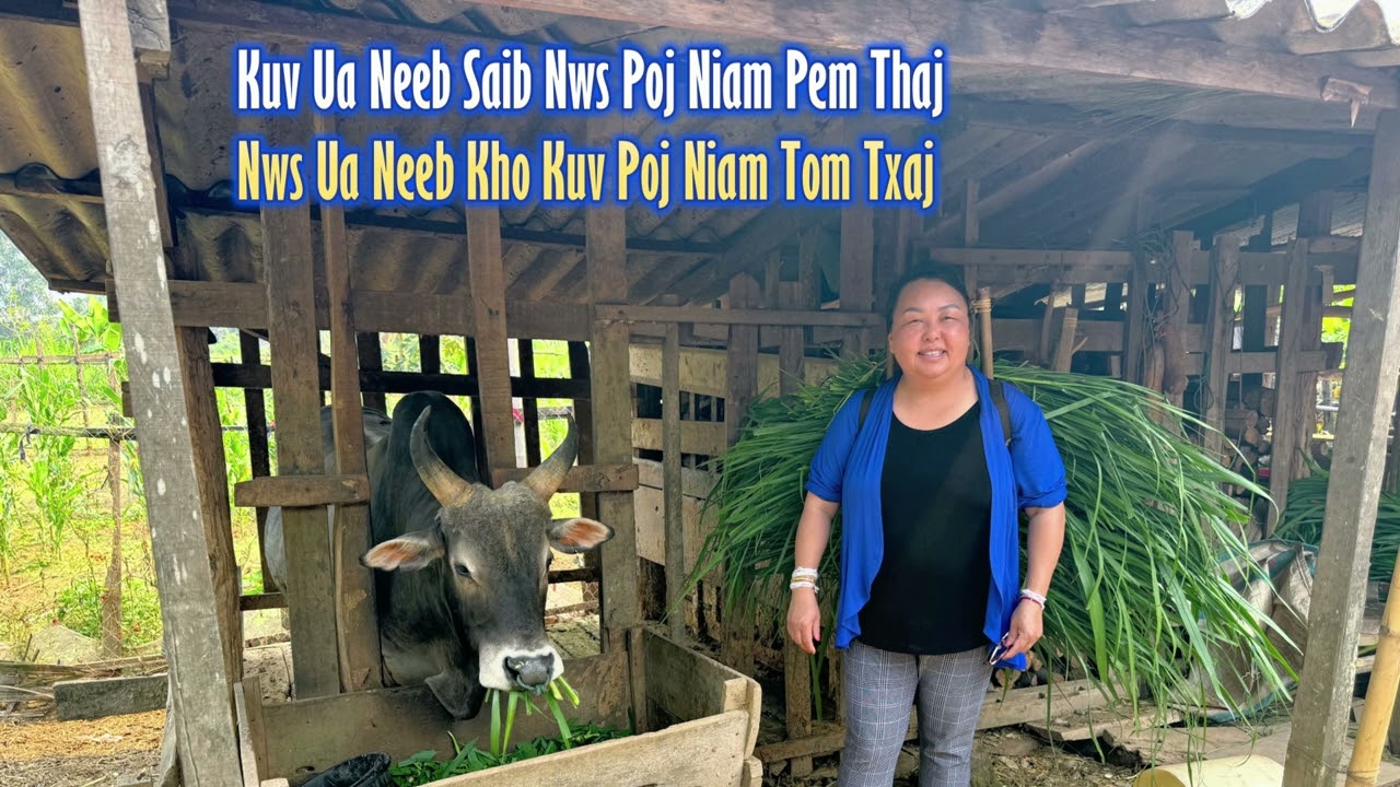 Nws Ua Neeb Kho Kuv Poj Niam Tom Txaj 5/05/24