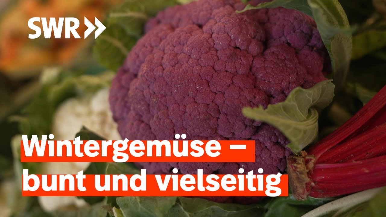 Gemüse im Winter: Kreativ kochen, selbst fermentieren und gesund genießen | SWR Treffpunkt