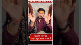 आपक घर म भ आत ह कबतर, त समझए कय ह इसक मतलब?