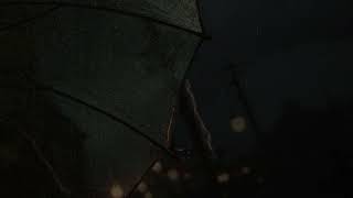 Heavy Rain Under a Small Umbrella with Soft Thunder | Relaxing Sounds to Reduce Stress screenshot 2
