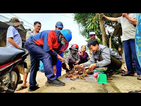 Video Full Video: 200 Days of Harvesting Yams, Taro, Ginger,... - youtube
