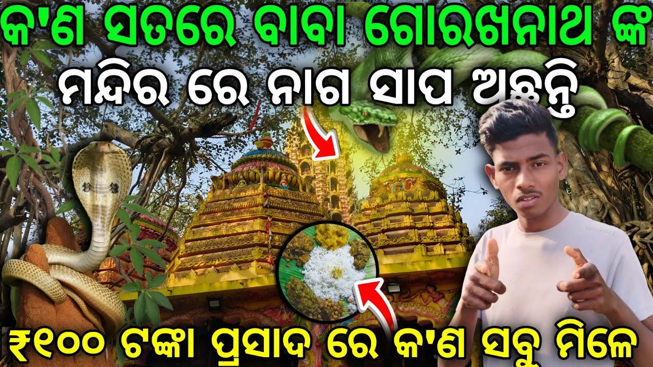 Baba Gorakhnath temple / Jagatsinghpur /Like and subscribe please 🙏ମନ୍ଦିର ରେ ନାଗ ସାପ ଅଛନ୍ତି 