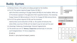 S5 Buddy System,Slab Cache
