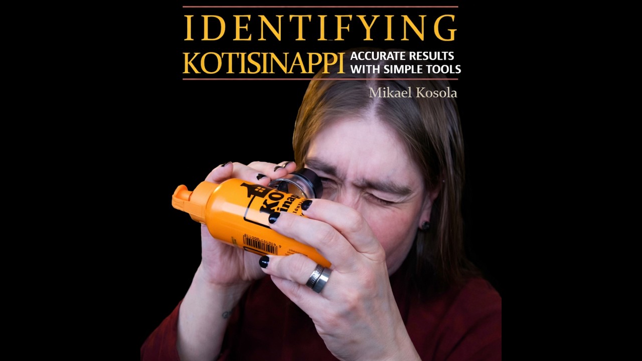 niilo22 - Kyyryilyt & Paasaukset (9.2.26 - 15.2.26) Paskiaispullaste EDITION