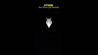 🐍 Python Butterfly Art | Create a Stunning Butterfly with Turtle Graphics