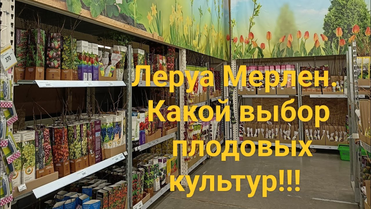 Леруа Мерлен. Воронеж. Что нового в магазине для сада! #воронеж # ...