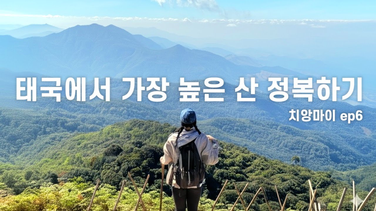 (ENG) 해발 2,565m 여긴 태국의 하늘 위입니다 | 🇹🇭치앙마이ep6 (도이인타논/등산/먹방/야시장/빠이교통편)