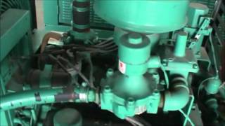 Cummins 60 kW Natural Gas Generator Set