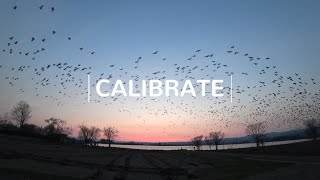 Calibrate (2021) - Trailer