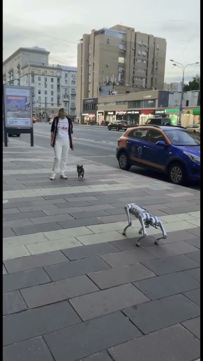 Шпиц и робот Собака смешное видео #dog #собака #робот #robots - YouTube