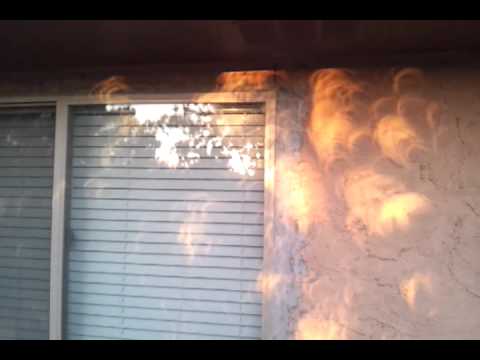 Eclipse crescent shadows on my house through my tree