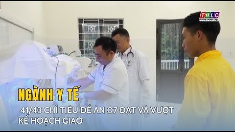 41/43 chỉ tiêu Đề án 07 đạt và vượt kế hoạch giao | THLC